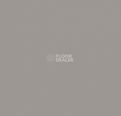 Линолеум Forbo Modul'up 19 dB Colour 862UP4319 stone grey uni фото 1 | FLOORDEALER